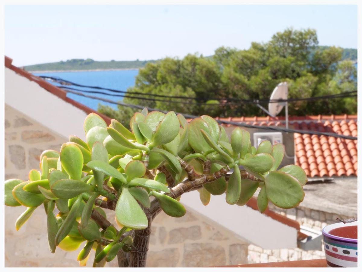 The Peninsula Apartment Primosten Bagian luar foto